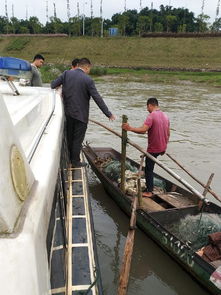 南溪區(qū)開(kāi)展國(guó)慶節(jié)前漁船安全生產(chǎn)專(zhuān)項(xiàng)檢查，確保畜牧漁業(yè)飼料銷(xiāo)售與漁業(yè)生產(chǎn)安全