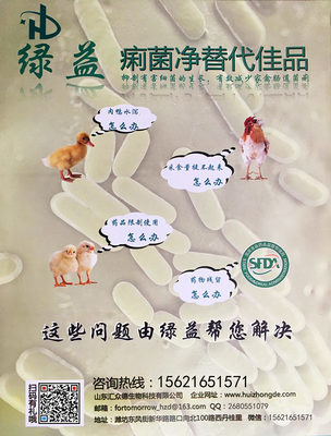 探索痢菌凈替代品與呼吸道栓塞防治策略 畜牧漁業(yè)飼料銷(xiāo)售新視角